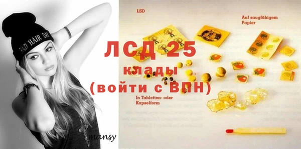 ПСИЛОЦИБИНОВЫЕ ГРИБЫ Каменка