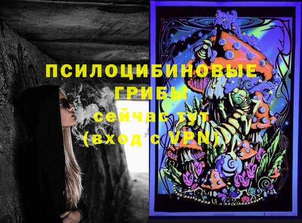стафф Алексеевка