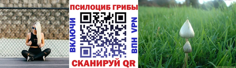 Псилоцибиновые грибы мицелий  наркотики  гидра ссылка  Жуковский 
