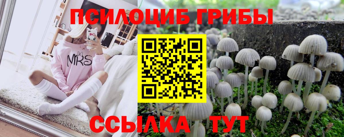 Галлюциногенные грибы мицелий  Вход с VPN  Жуковский 
