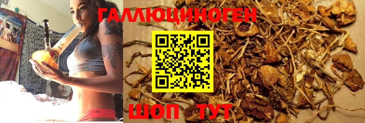 Псилоцибиновые грибы мицелий Жуковский