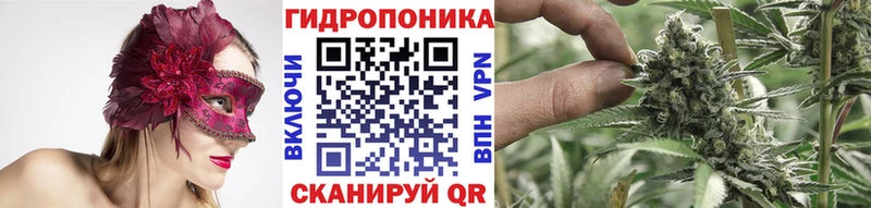 Канабис THC 21% Жуковский